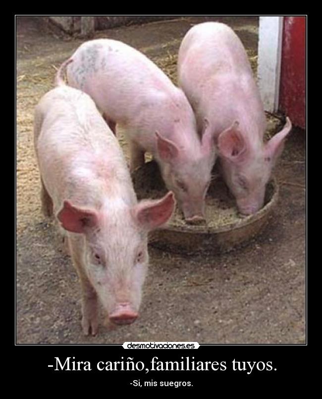 -Mira cariño,familiares tuyos. -