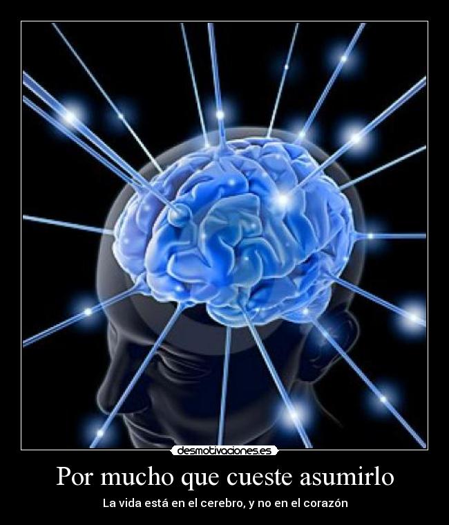 Por mucho que cueste asumirlo - La vida está en el cerebro, y no en el corazón