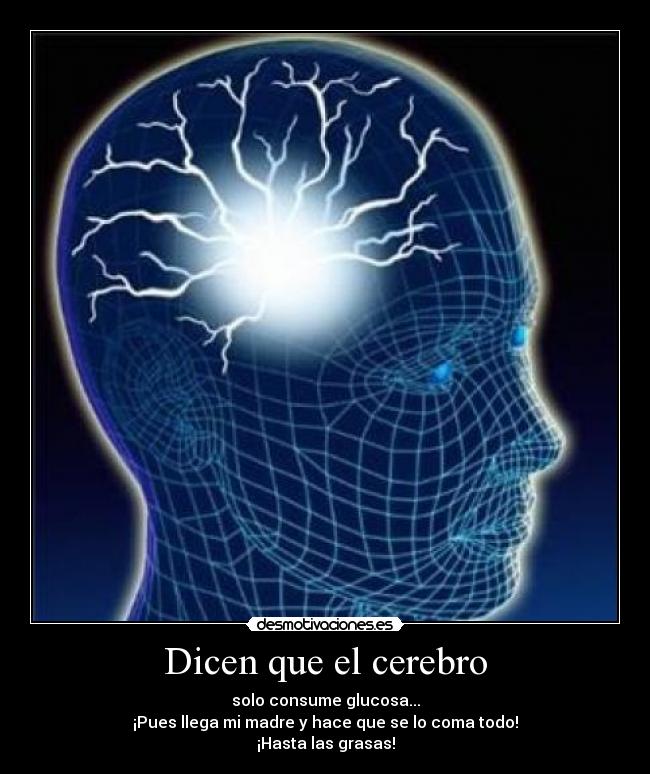 Dicen que el cerebro - solo consume glucosa...
¡Pues llega mi madre y hace que se lo coma todo!
¡Hasta las grasas!