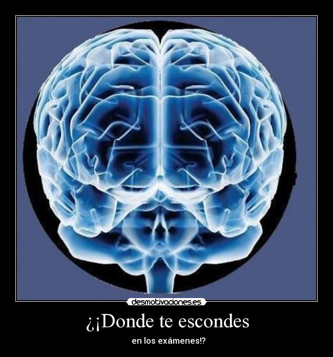 ¿¡Donde te escondes - en los exámenes!?