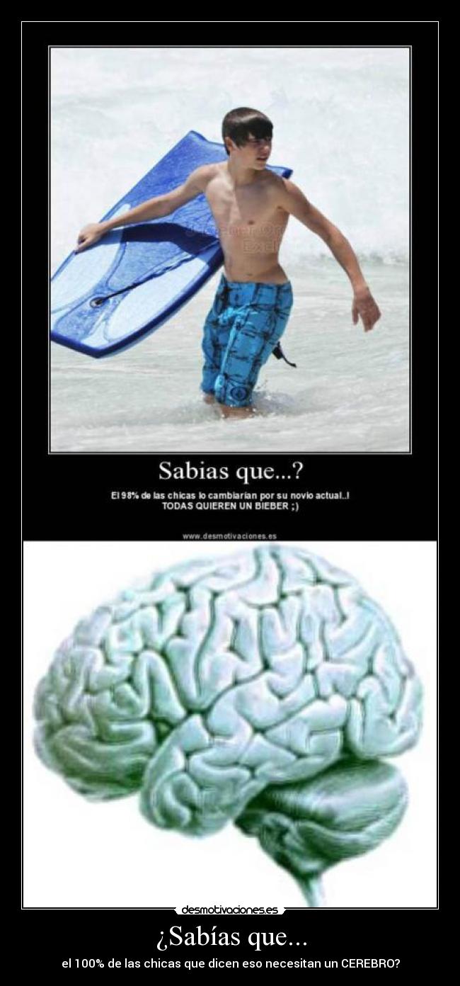 ¿Sabías que... - el 100% de las chicas que dicen eso necesitan un CEREBRO?
