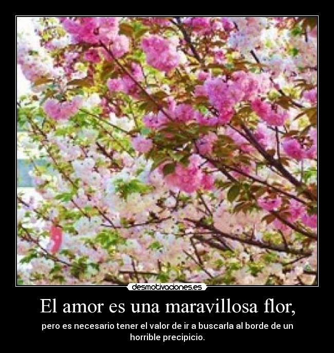 El amor es una maravillosa flor, - 