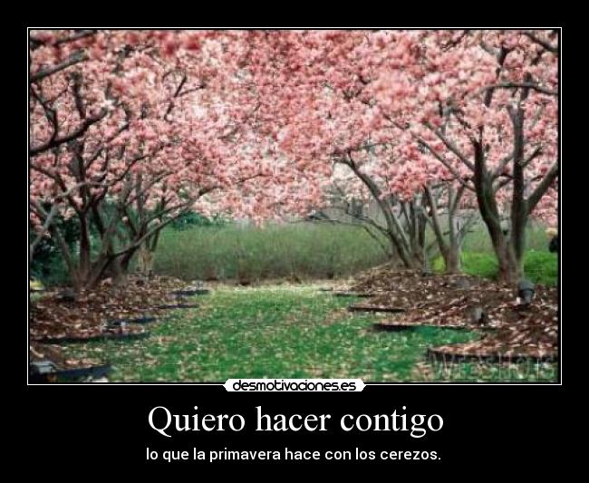 Quiero hacer contigo - lo que la primavera hace con los cerezos.