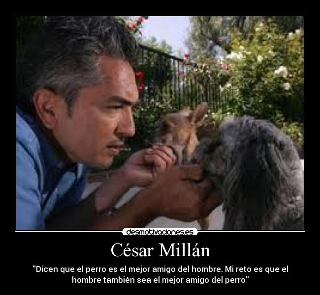 César Millán - Dicen que el perro es el mejor amigo del hombre. Mi reto es que el
hombre también sea el mejor amigo del perro