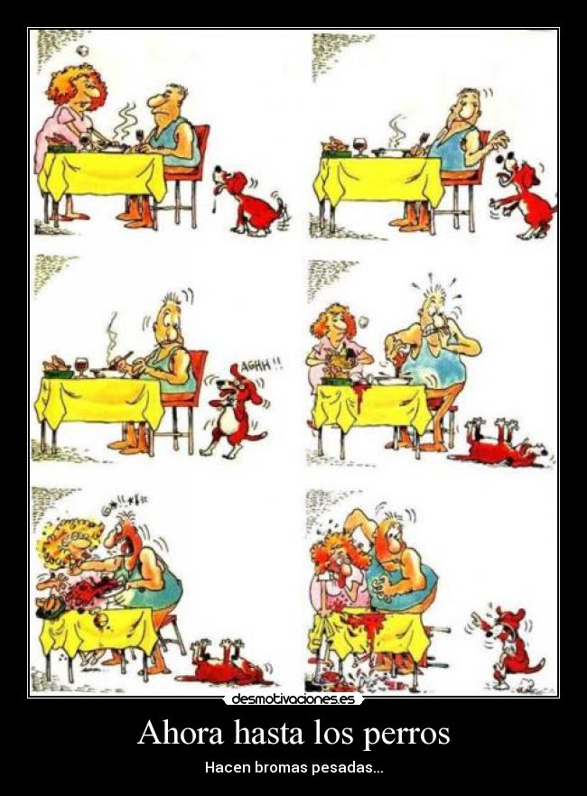 Ahora hasta los perros -