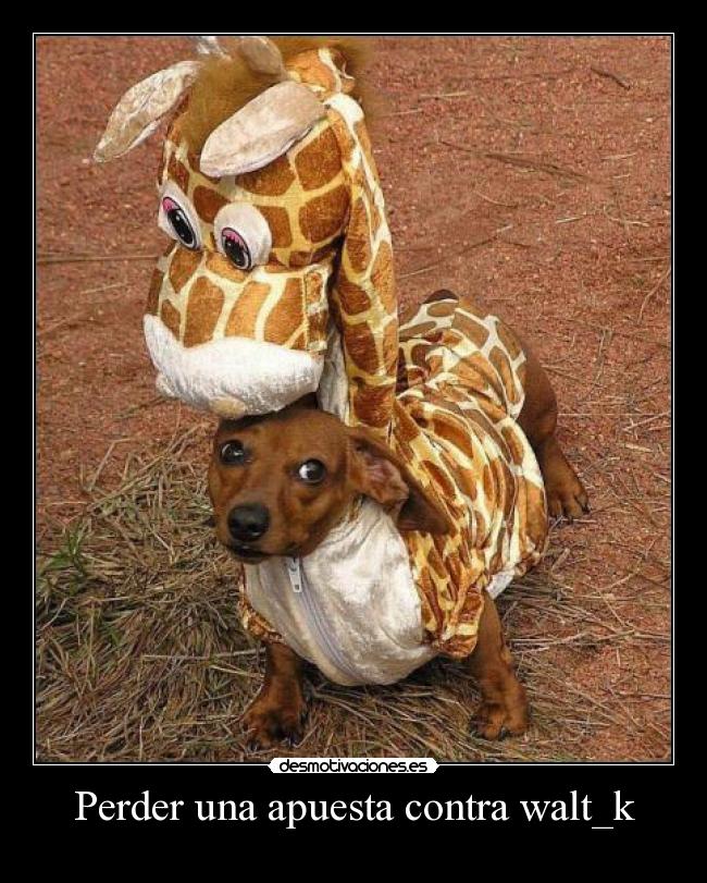 Perder una apuesta contra walt_k -