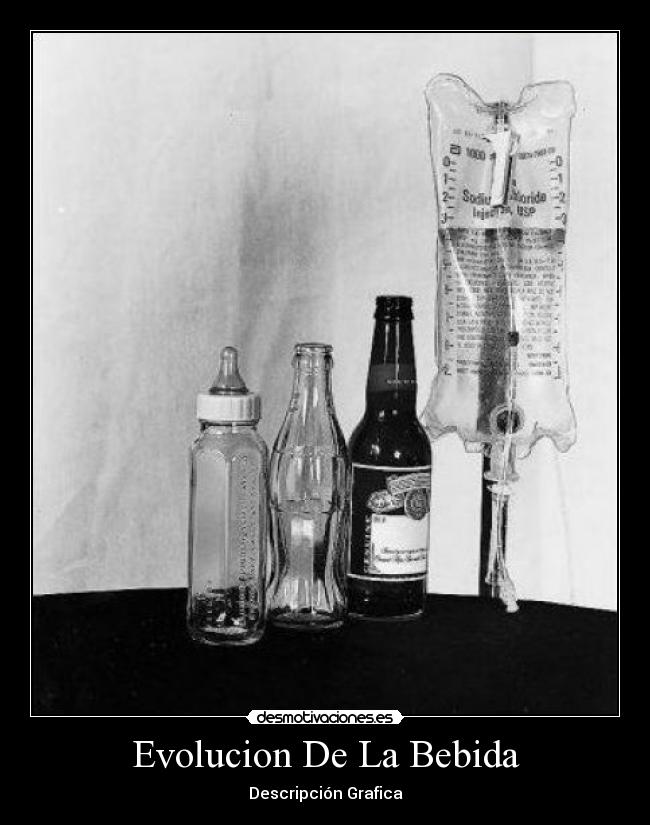 Evolucion De La Bebida -
