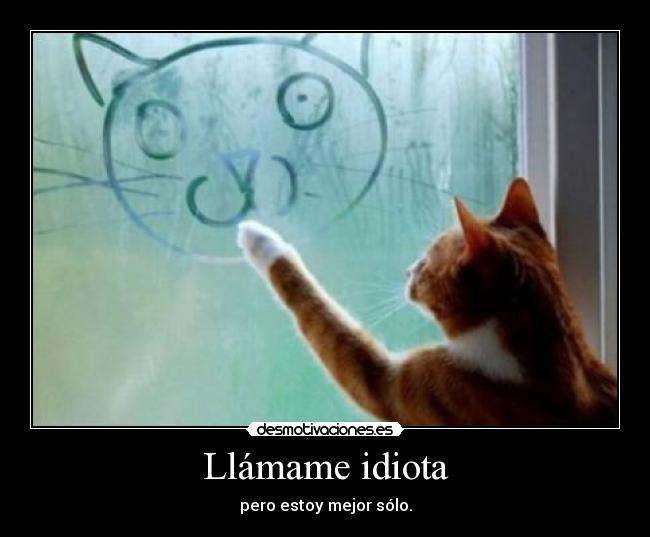 Llámame idiota - pero estoy mejor sólo.