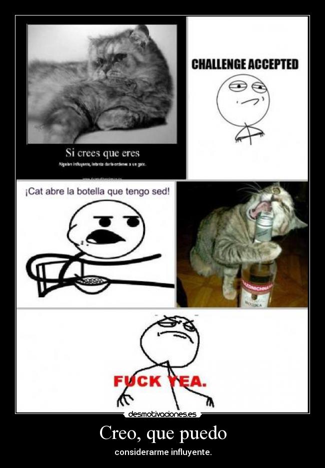 Creo, que puedo - considerarme influyente.