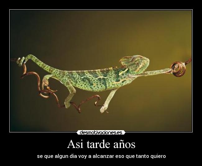 Asi tarde años - 