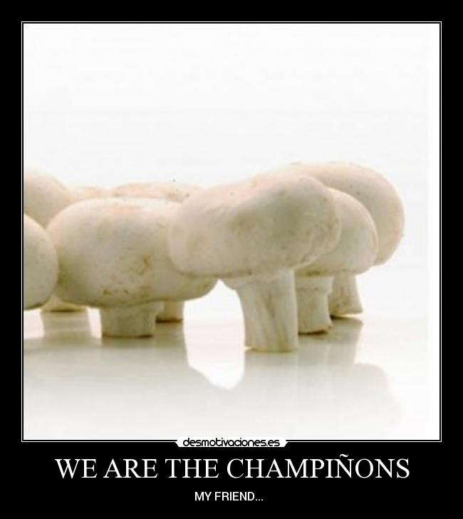 WE ARE THE CHAMPIÑONS - MY FRIEND...♪♫♪