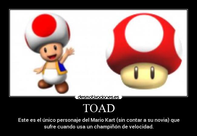 TOAD - 
