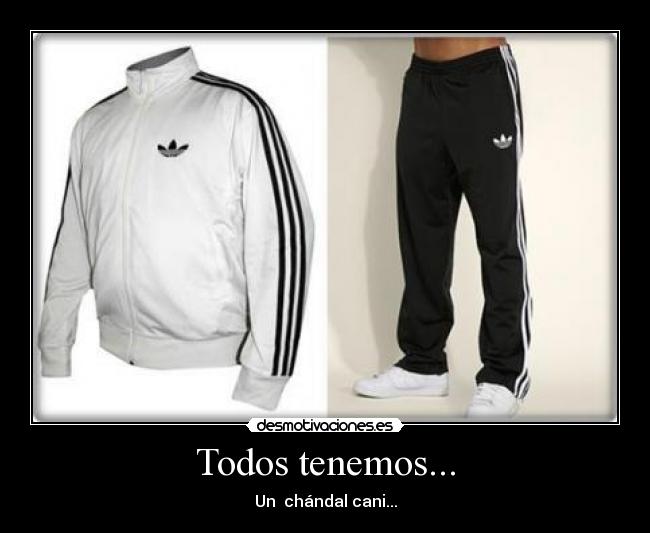 Todos tenemos... - Un  chándal cani...