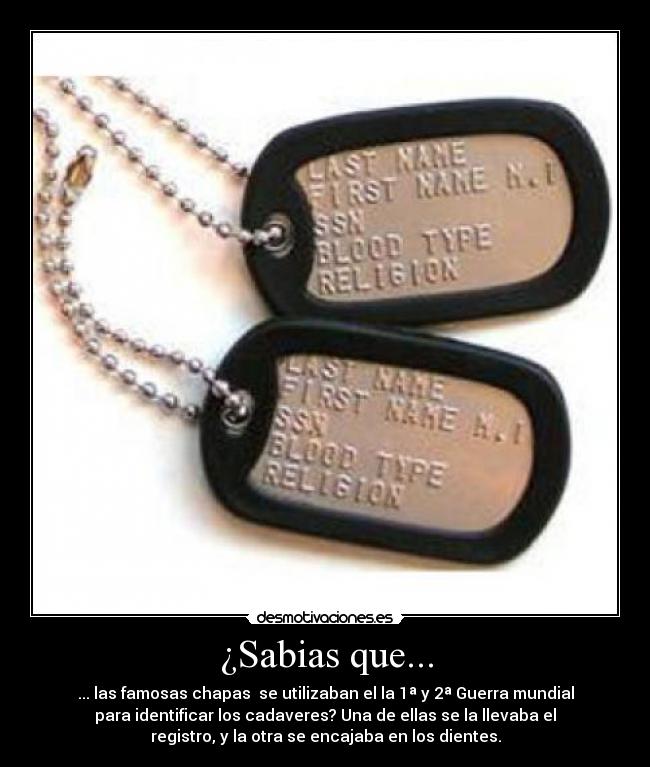 ¿Sabias que... - ... las famosas chapas se utilizaban el la 1ª y 2ª Guerra mundial
para identificar los cadaveres? Una de ellas se la llevaba el
registro, y la otra se encajaba en los dientes.
