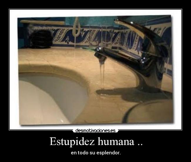 Estupidez humana .. - en todo su esplendor.