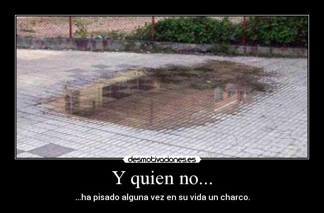 Y quien no... - 