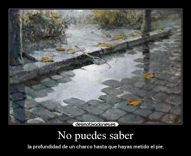 No puedes saber - la profundidad de un charco hasta que hayas metido el pie.