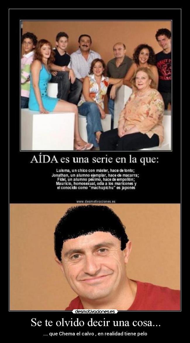 carteles aida desmotivaciones