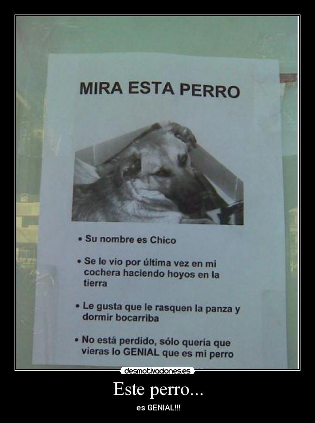 Este perro... - es GENIAL!!!