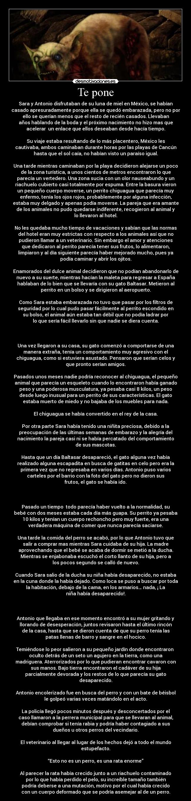 Te pone - Sara y Antonio disfrutaban de su luna de miel en México, se habían
casado apresuradamente porque ella se quedó embarazada, pero no por
ello se querían menos que el resto de recién casados. Llevaban
años hablando de la boda y el próximo nacimiento no hizo mas que
acelerar  un enlace que ellos deseaban desde hacía tiempo.

Su viaje estaba resultando de lo más placentero, México les
cautivaba, ambos caminaban durante horas por las playas de Cancún
hasta que el sol caía, no habían visto un paraíso igual.

Una tarde mientras caminaban por la playa decidieron alejarse un poco
de la zona turística, a unos cientos de metros encontraron lo que
parecía un vertedero. Una zona sucia con un olor nauseabundo y un
riachuelo cubierto casi totalmente por espuma. Entre la basura vieron
un pequeño cuerpo moverse, un perrito chiguagua que parecía muy
enfermo, tenía los ojos rojos, probablemente por alguna infección,
estaba muy delgado y apenas podía moverse. La pareja que era amante
de los animales no pudo quedarse indiferente, recogieron al animal y
lo llevaron al hotel.

No les quedaba mucho tiempo de vacaciones y sabían que las normas
del hotel eran muy estrictas con respecto a los animales así que no
pudieron llamar a un veterinario. Sin embargo el amor y atenciones
que dedicaron al perrito parecía tener sus frutos, lo alimentaron,
limpiaron y al día siguiente parecía haber mejorado mucho, pues ya
podía caminar y abrir los ojitos.

Enamorados del dulce animal decidieron que no podían abandonarlo de
nuevo a su suerte, mientras hacían la maleta para regresar a España
hablaban de lo bien que se llevaría con su gato Baltasar. Metieron al
perrito en un bolso y se dirigieron al aeropuerto.

Como Sara estaba embarazada no tuvo que pasar por los filtros de
seguridad por lo cual pudo pasar fácilmente al perrito escondido en
su bolso, el animal aún estaba tan débil que no podía ladrar por
lo que sería fácil llevarlo sin que nadie se diera cuenta.

 

Una vez llegaron a su casa, su gato comenzó a comportarse de una
manera extraña, tenía un comportamiento muy agresivo con el
chiguagua, como si estuviera asustado. Pensaron que serían celos y
que pronto serían amigos.

Pasados unos meses nadie podría reconocer al chiguagua, el pequeño
animal que parecía un esqueleto cuando lo encontraron había ganado
peso y una poderosa musculatura, ya pesaba casi 8 kilos, un peso
desde luego inusual para un perrito de sus características. El gato
estaba muerto de miedo y no bajaba de los muebles para nada.

El chiguagua se había convertido en el rey de la casa.

Por otra parte Sara había tenido una niñita preciosa, debido a la
preocupación de las últimas semanas de embarazo y la alegría del
nacimiento la pareja casi ni se había percatado del comportamiento
de sus mascotas.

Hasta que un día Baltasar desapareció, el gato alguna vez había
realizado alguna escapadita en busca de gatitas en celo pero era la
primera vez que no regresaba en varios días. Antonio puso varios
carteles por el barrio con la foto del gato pero no dieron sus
frutos, el gato se había ido.

 

Pasado un tiempo  todo parecía haber vuelto a la normalidad, su
bebé con dos meses estaba cada día más guapa. Su perrito ya pesaba
10 kilos y tenían un cuerpo rechoncho pero muy fuerte, era una
verdadera máquina de comer que nunca parecía saciarse.

Una tarde la comida del perro se acabó, por lo que Antonio tuvo que
salir a comprar mas mientras Sara cuidaba de su hija. La madre
aprovechando que el bebé se acaba de dormir se metió a la ducha.
Mientras se enjabonaba escuchó el corto llanto de su hija, pero a
los pocos segundo se calló de nuevo.

Cuando Sara salio de la ducha su niña había desaparecido, no estaba
en la cuna donde la había dejado. Como loca se puso a buscar por toda
la habitación, debajo de la cama, en los armarios… nada, ¡ La
niña había desaparecido!.

 

Antonio que llegaba en ese momento encontró a su mujer gritando y
llorando de desesperación, juntos revisaron hasta el último rincón
de la casa, hasta que se dieron cuenta de que su perro tenía las
patas llenas de barro y sangre en el hocico.

Temiéndose lo peor salieron a su pequeño jardín donde encontraron 
oculto detrás de un seto un agujero en la tierra, como una
madriguera. Aterrorizados por lo que pudieran encontrar cavaron con
sus manos. Bajo tierra encontraron el cadáver de su hija
parcialmente devorada y los restos de lo que parecía su gato
desaparecido.

Antonio encolerizado fue en busca del perro y con un bate de béisbol
le golpeó varias veces matándolo en el acto.

La policía llegó pocos minutos después y desconcertados por el
caso llamaron a la perrera municipal para que se llevaran al animal,
debían comprobar si tenía rabia y podría haber contagiado a sus
dueños u otros perros del vecindario.

El veterinario al llegar al lugar de los hechos dejó a todo el mundo
estupefacto.

“Esto no es un perro, es una rata enorme”

Al parecer la rata había crecido junto a un riachuelo contaminado
por lo que había perdido el pelo, su increíble tamaño también
podría deberse a una mutación, motivo por el cual había crecido
con un cuerpo deformado que se podría asemejar al de un perro.