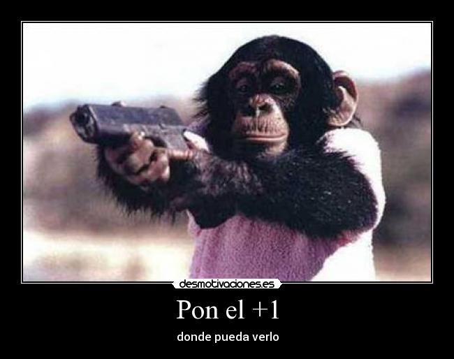 Pon el +1 - 