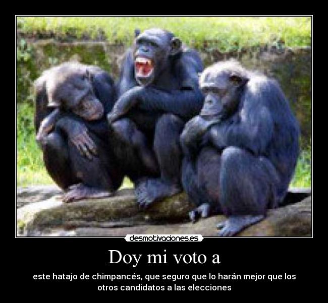 Doy mi voto a - 