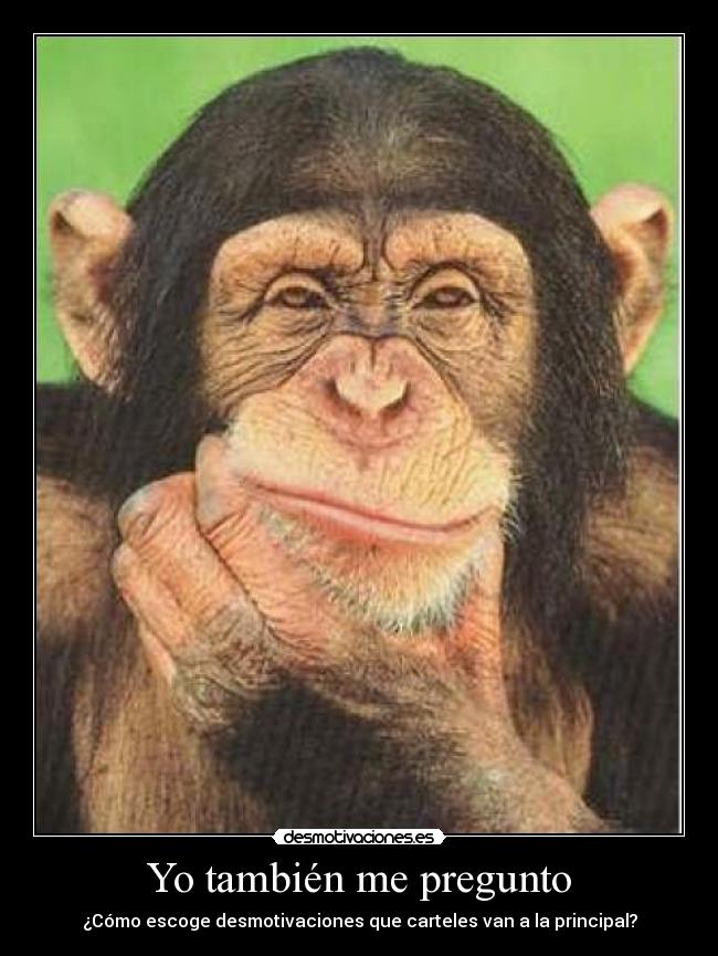 carteles principal desmotivaciones