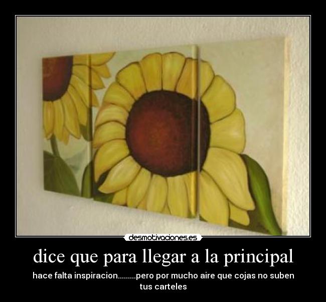 dice que para llegar a la principal -