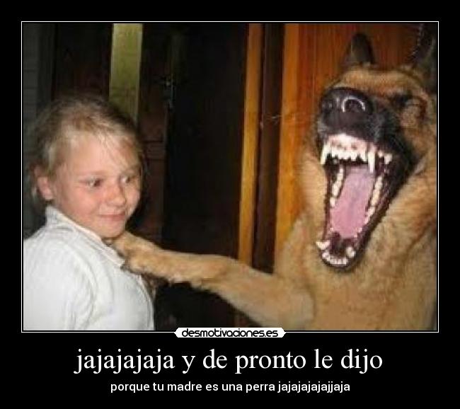 carteles perro chistoso desmotivaciones