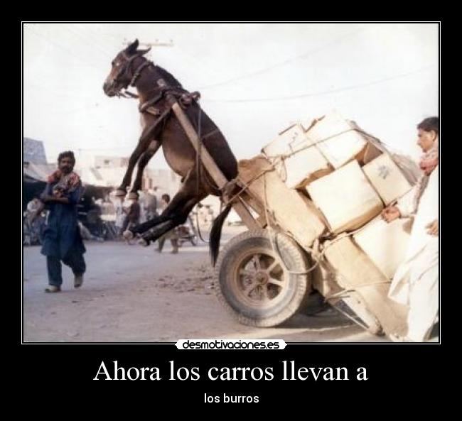 Ahora los carros llevan a - los burros