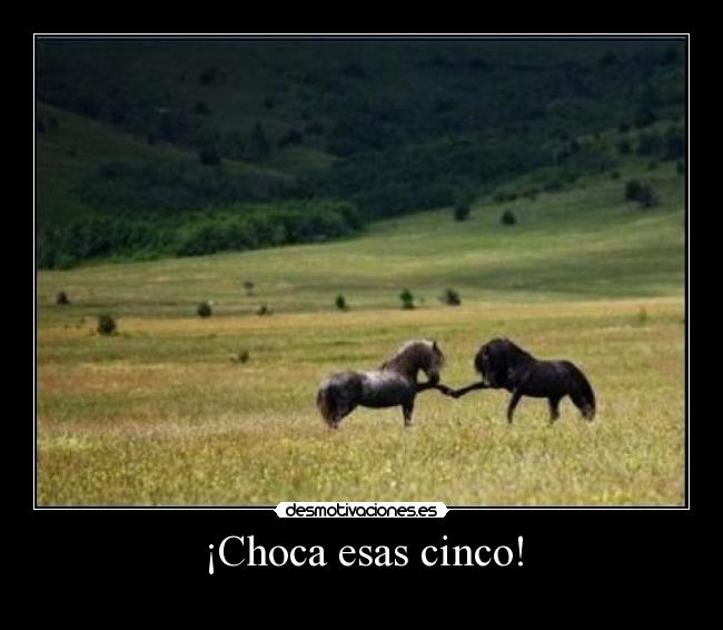 carteles cosas caballos desmotivaciones