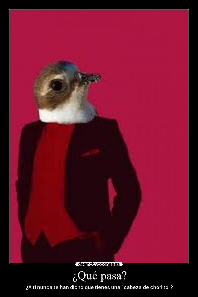 carteles chorlito desmotivaciones