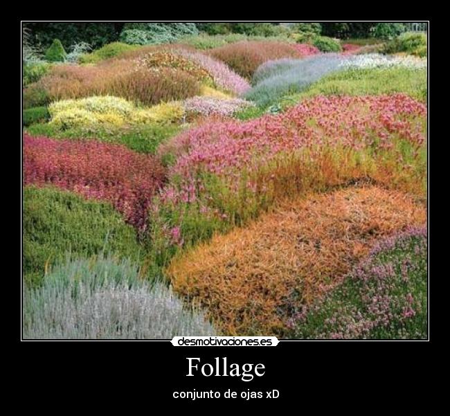 Follage -