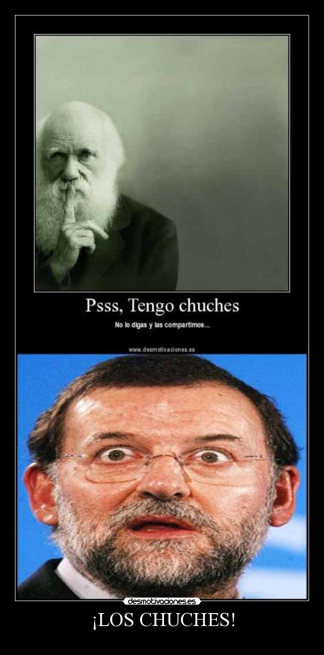 ¡LOS CHUCHES! - 