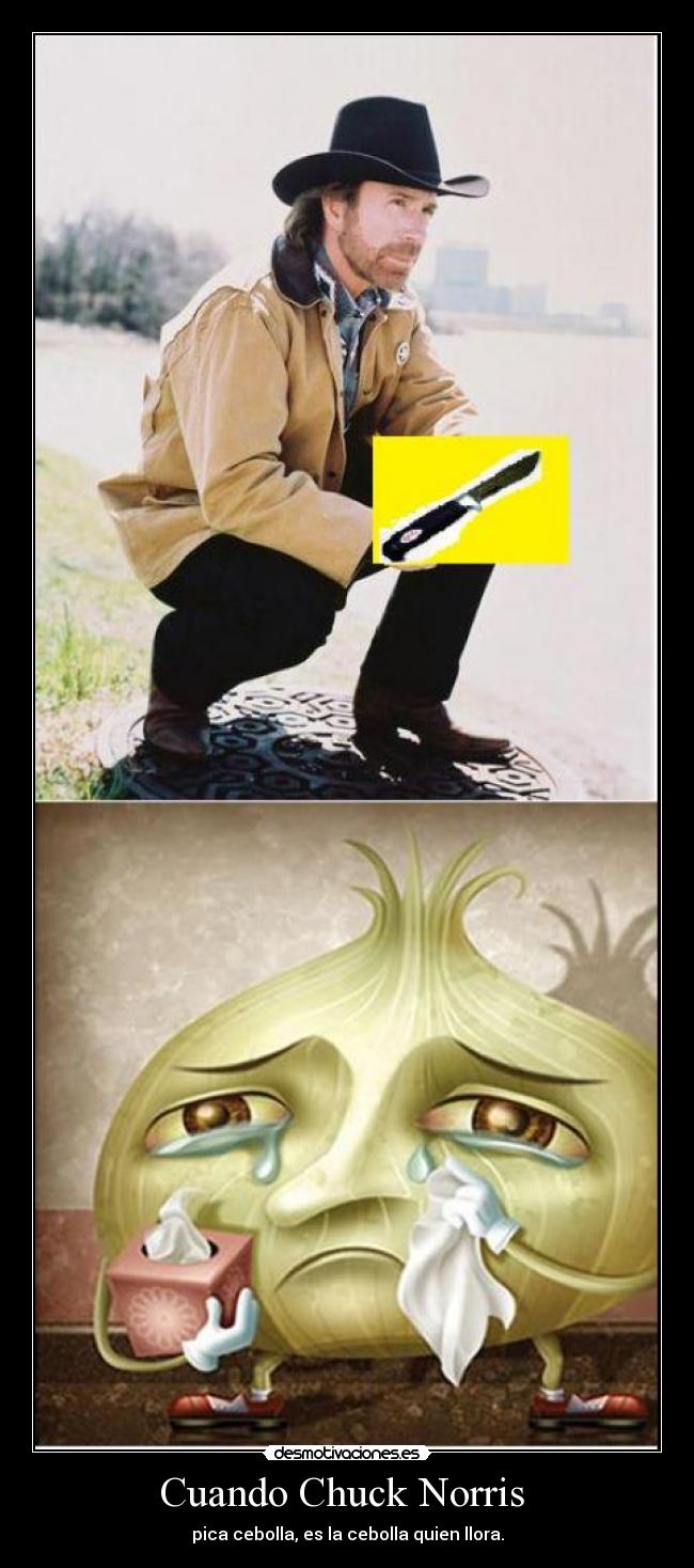 Cuando Chuck Norris -