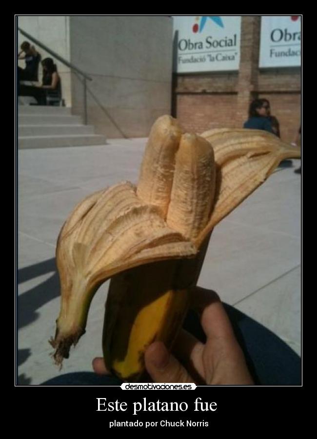 Este platano fue - plantado por Chuck Norris