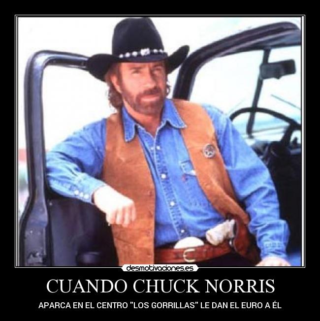 CUANDO CHUCK NORRIS - 