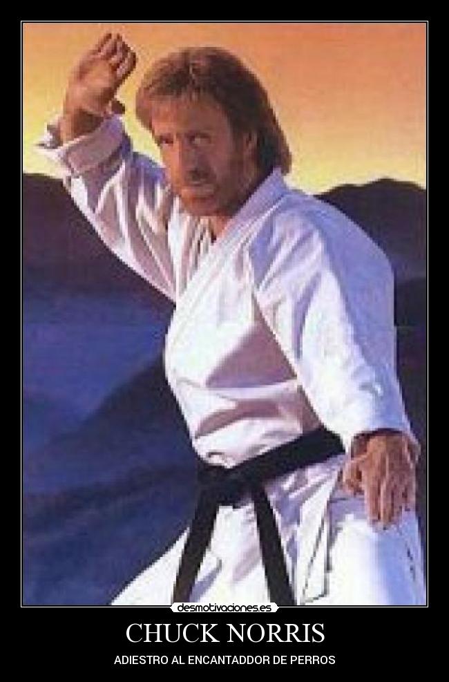 CHUCK NORRIS -
