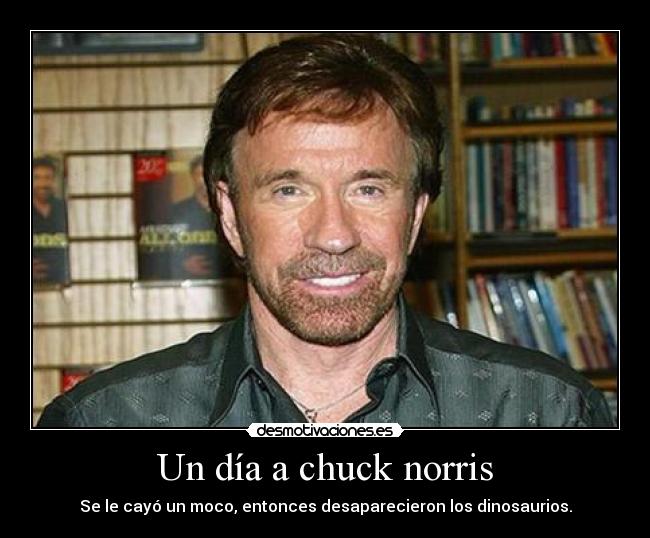 Un día a chuck norris -