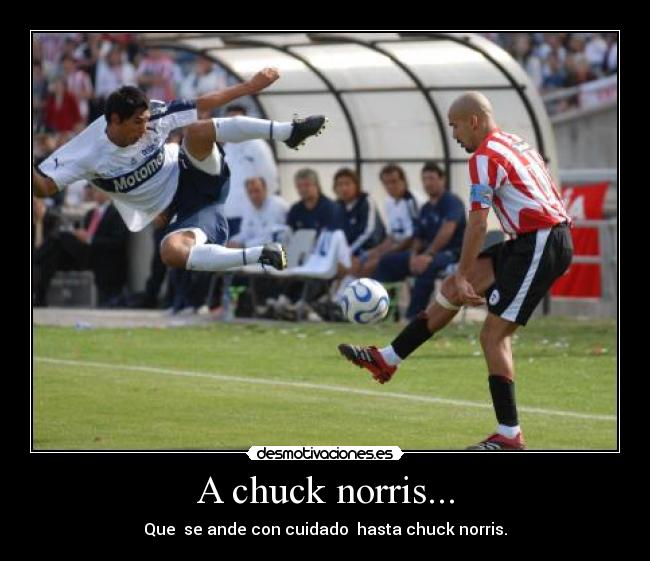 A chuck norris... - Que se ande con cuidado hasta chuck norris.