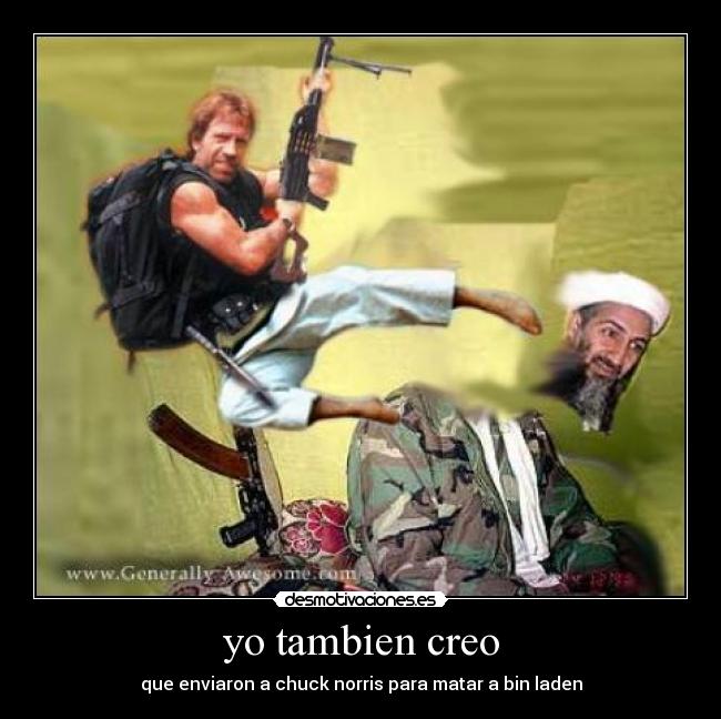 yo tambien creo - que enviaron a chuck norris para matar a bin laden