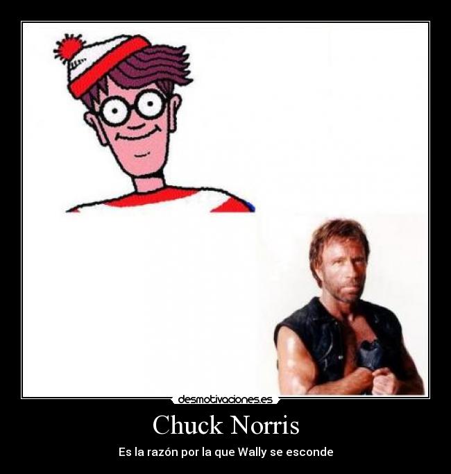 carteles chuck norris desmotivaciones