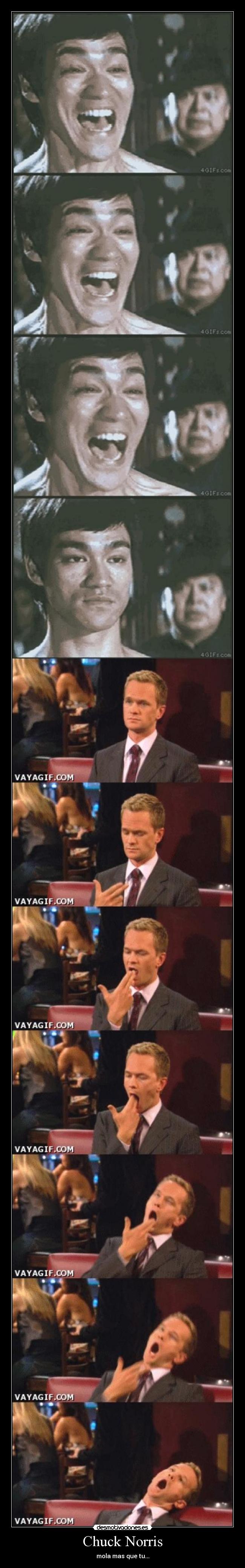 Chuck Norris - mola mas que tu...