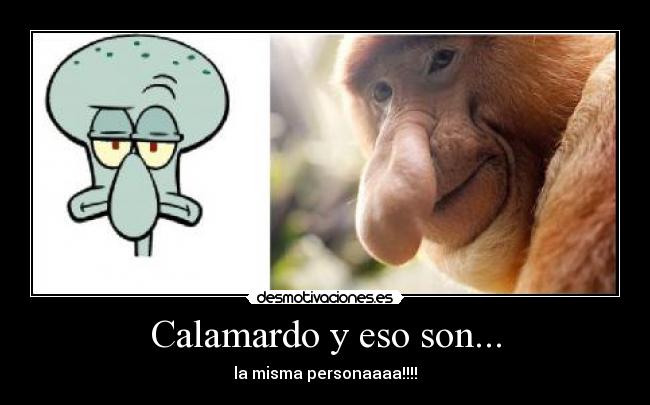 Calamardo y eso son... -