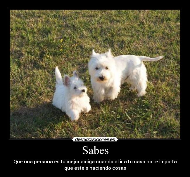 Sabes - Que una persona es tu mejor amiga cuando al ir a tu casa no te importa
que esteis haciendo cosas