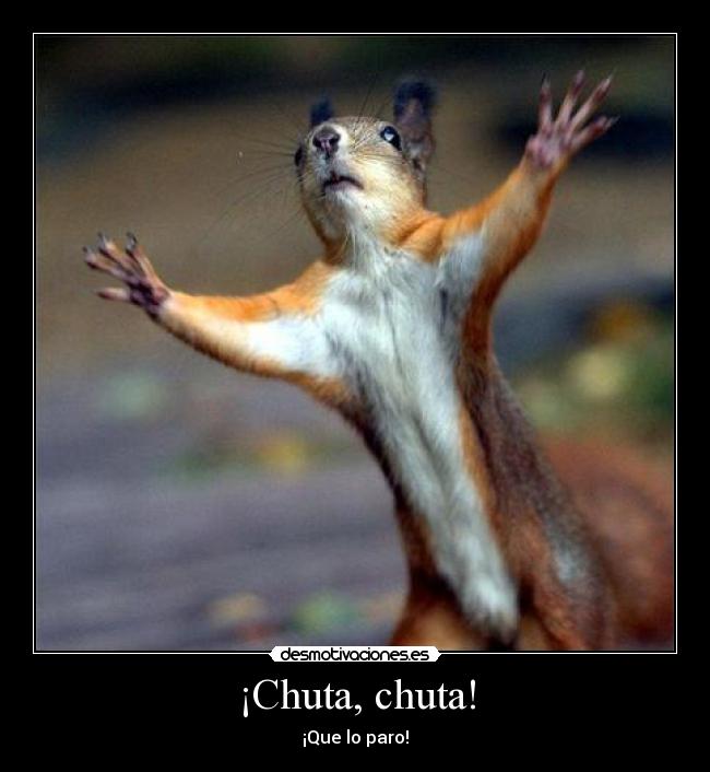 ¡Chuta, chuta! - 