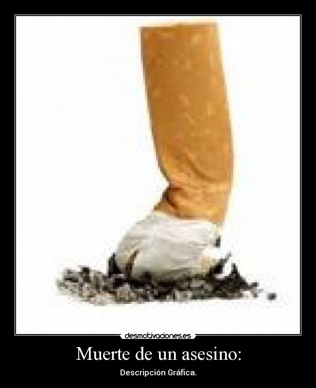 Muerte de un asesino: - Descripción Gráfica.