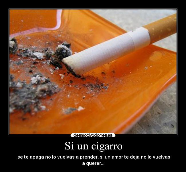 Si un cigarro - se te apaga no lo vuelvas a prender, si un amor te deja no lo vuelvas a querer...
