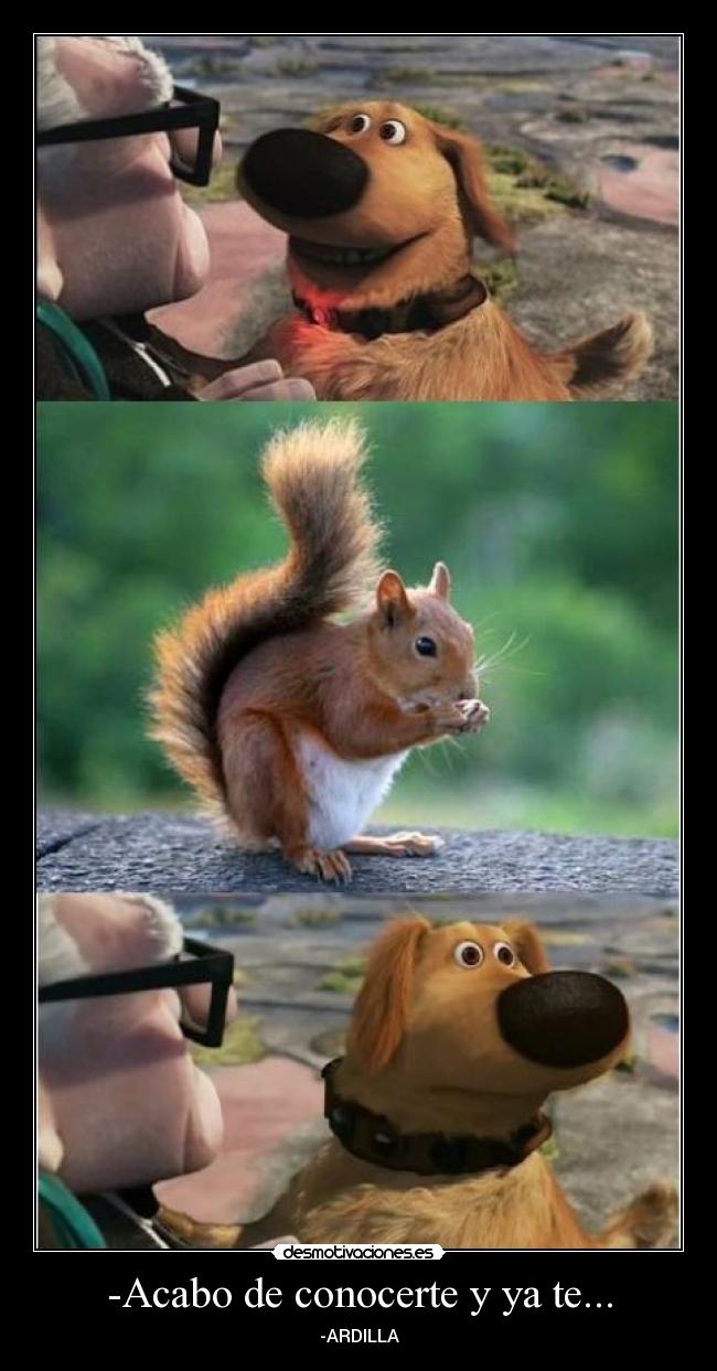 -Acabo de conocerte y ya te... - 