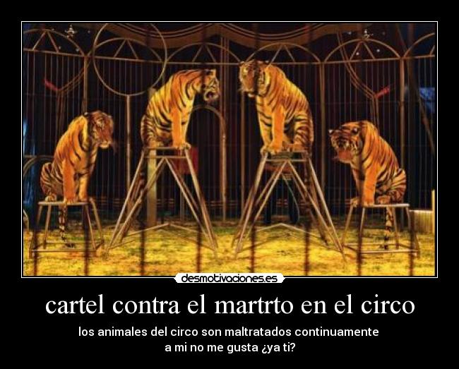 cartel contra el martrto en el circo - los animales del circo son maltratados continuamente 
a mi no me gusta ¿ya ti?